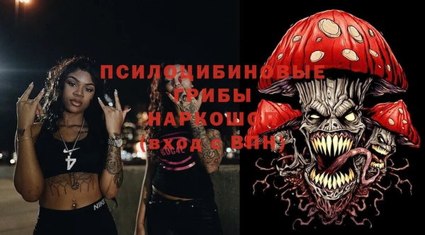гашик Беломорск